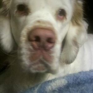 Meet your Posher, Amylyn